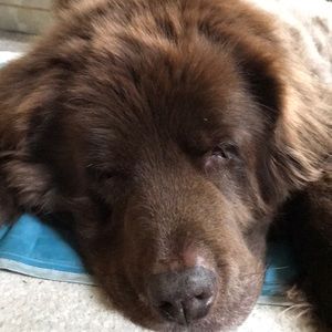 Meet your Posher, Kendra